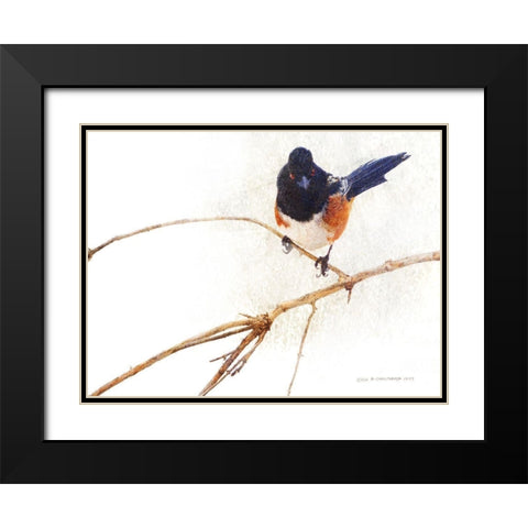 On the Branch IV Black Modern Wood Framed Art Print with Double Matting by Vest, Chris