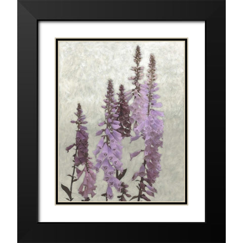 Non-Embellished Foxgloves I Black Modern Wood Framed Art Print with Double Matting by Zarris, Chariklia