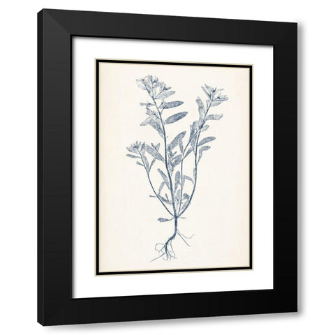 Navy Botanicals II Black Modern Wood Framed Art Print with Double Matting by Vision Studio