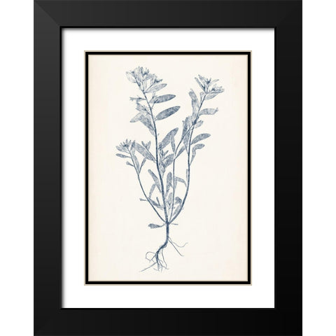 Navy Botanicals II Black Modern Wood Framed Art Print with Double Matting by Vision Studio