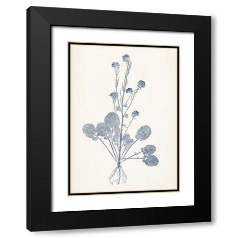 Navy Botanicals VIII Black Modern Wood Framed Art Print with Double Matting by Vision Studio