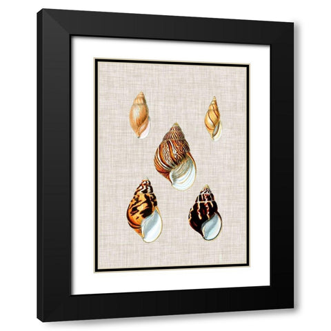 Antique Shells on Linen II Black Modern Wood Framed Art Print with Double Matting by Vision Studio