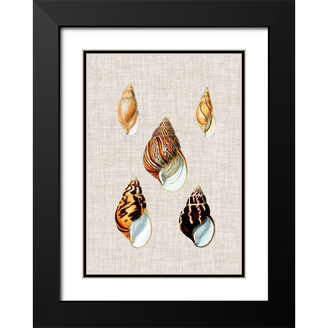 Antique Shells on Linen II Black Modern Wood Framed Art Print with Double Matting by Vision Studio