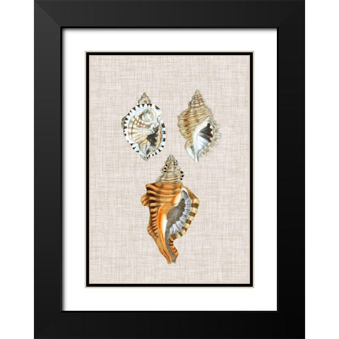 Antique Shells on Linen III Black Modern Wood Framed Art Print with Double Matting by Vision Studio