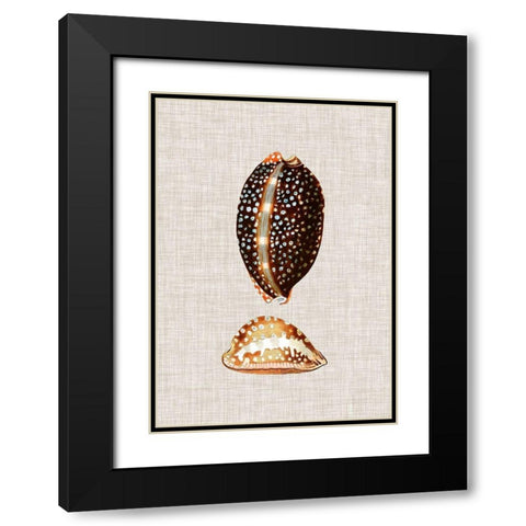 Antique Shells on Linen IV Black Modern Wood Framed Art Print with Double Matting by Vision Studio