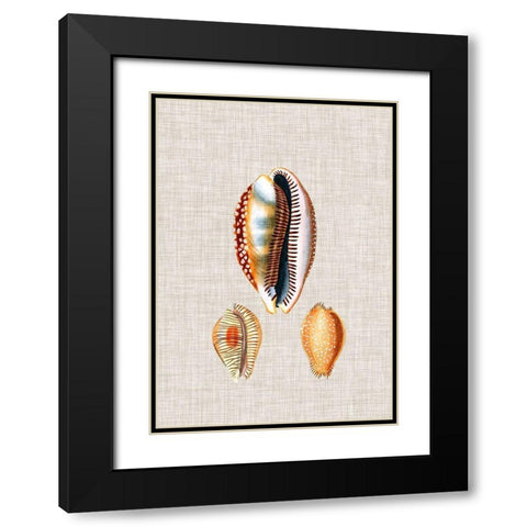 Antique Shells on Linen V Black Modern Wood Framed Art Print with Double Matting by Vision Studio