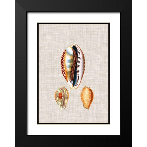 Antique Shells on Linen V Black Modern Wood Framed Art Print with Double Matting by Vision Studio