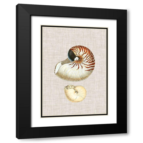 Antique Shells on Linen VII Black Modern Wood Framed Art Print with Double Matting by Vision Studio