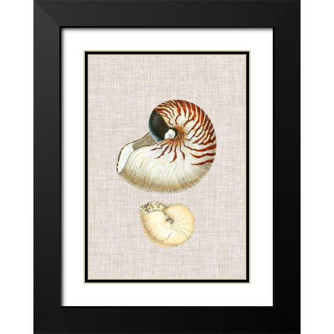 Antique Shells on Linen VII Black Modern Wood Framed Art Print with Double Matting by Vision Studio