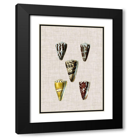 Antique Shells on Linen VIII Black Modern Wood Framed Art Print with Double Matting by Vision Studio