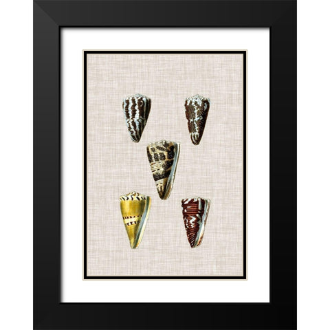 Antique Shells on Linen VIII Black Modern Wood Framed Art Print with Double Matting by Vision Studio