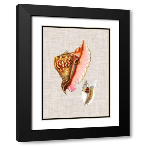 Antique Shells on Linen IX Black Modern Wood Framed Art Print with Double Matting by Vision Studio