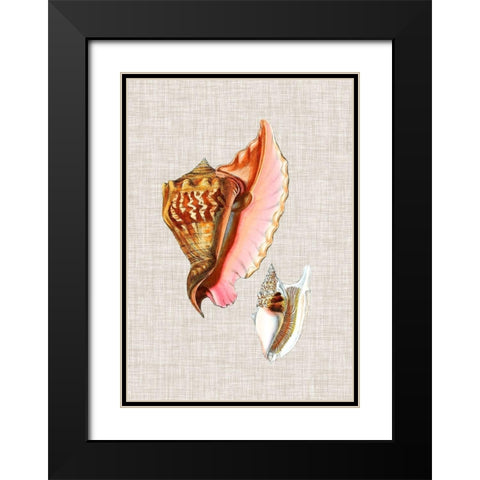 Antique Shells on Linen IX Black Modern Wood Framed Art Print with Double Matting by Vision Studio