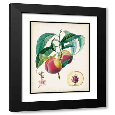 Belle Bauce Black Modern Wood Framed Art Print with Double Matting by Poiteau, Pierre Antoine