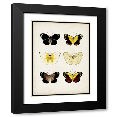 Vintage Butterflies I Black Modern Wood Framed Art Print with Double Matting by Vision Studio