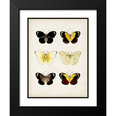 Vintage Butterflies I Black Modern Wood Framed Art Print with Double Matting by Vision Studio