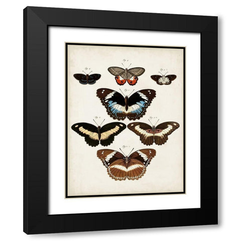 Vintage Butterflies II Black Modern Wood Framed Art Print with Double Matting by Vision Studio