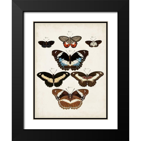 Vintage Butterflies II Black Modern Wood Framed Art Print with Double Matting by Vision Studio