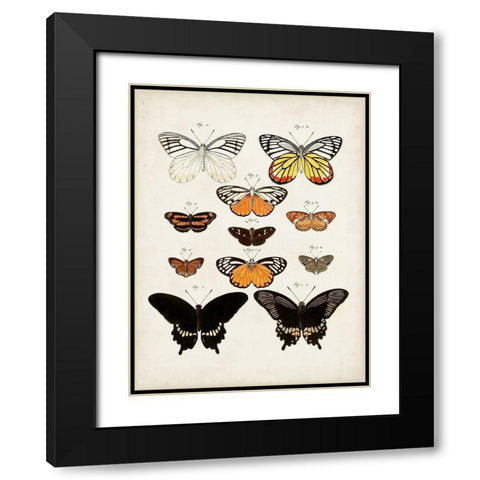 Vintage Butterflies III Black Modern Wood Framed Art Print with Double Matting by Vision Studio