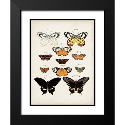 Vintage Butterflies III Black Modern Wood Framed Art Print with Double Matting by Vision Studio