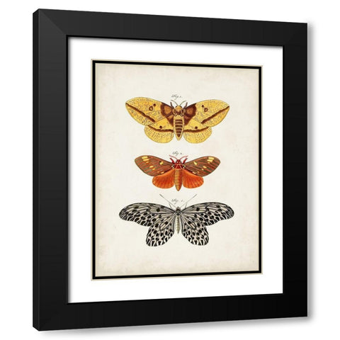 Vintage Butterflies IV Black Modern Wood Framed Art Print with Double Matting by Vision Studio