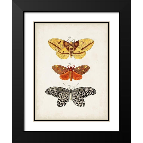 Vintage Butterflies IV Black Modern Wood Framed Art Print with Double Matting by Vision Studio
