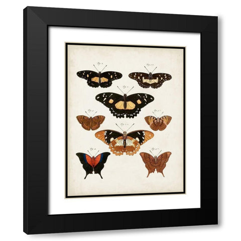 Vintage Butterflies V Black Modern Wood Framed Art Print with Double Matting by Vision Studio