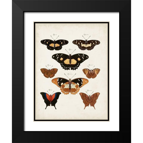 Vintage Butterflies V Black Modern Wood Framed Art Print with Double Matting by Vision Studio