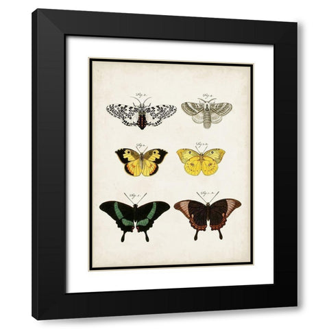 Vintage Butterflies VI Black Modern Wood Framed Art Print with Double Matting by Vision Studio