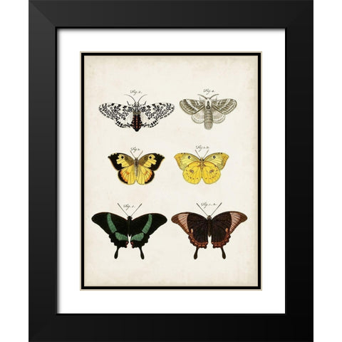 Vintage Butterflies VI Black Modern Wood Framed Art Print with Double Matting by Vision Studio