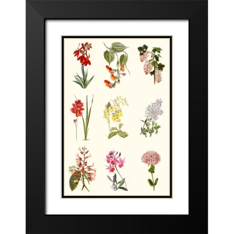 Botanical Array Chart Black Modern Wood Framed Art Print with Double Matting by Vision Studio