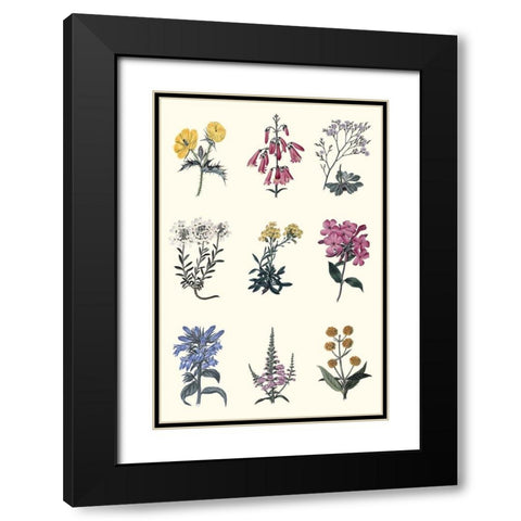 Antique Floral Chart Black Modern Wood Framed Art Print with Double Matting by Vision Studio
