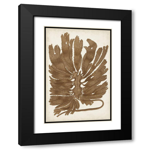 Sepia Seaweed I Black Modern Wood Framed Art Print with Double Matting by Vision Studio