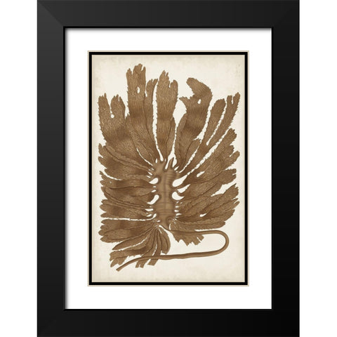 Sepia Seaweed I Black Modern Wood Framed Art Print with Double Matting by Vision Studio