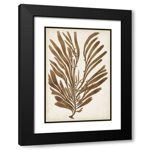 Sepia Seaweed II Black Modern Wood Framed Art Print with Double Matting by Vision Studio