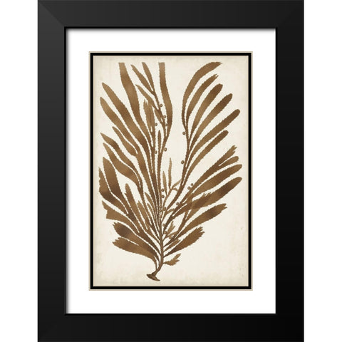 Sepia Seaweed II Black Modern Wood Framed Art Print with Double Matting by Vision Studio