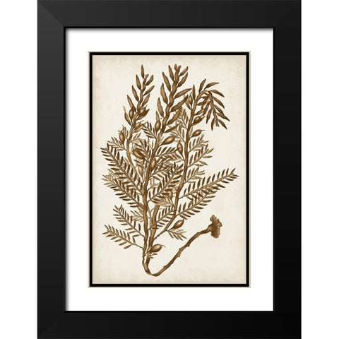Sepia Seaweed IV Black Modern Wood Framed Art Print with Double Matting by Vision Studio