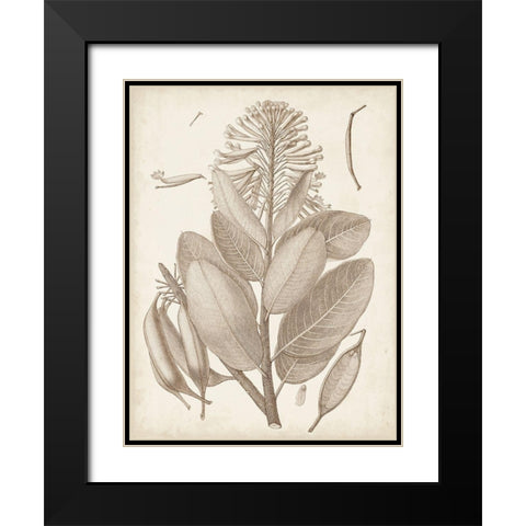 Sepia Exotic Plants I Black Modern Wood Framed Art Print with Double Matting by Vision Studio