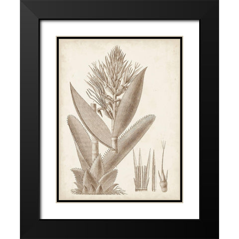 Sepia Exotic Plants II Black Modern Wood Framed Art Print with Double Matting by Vision Studio