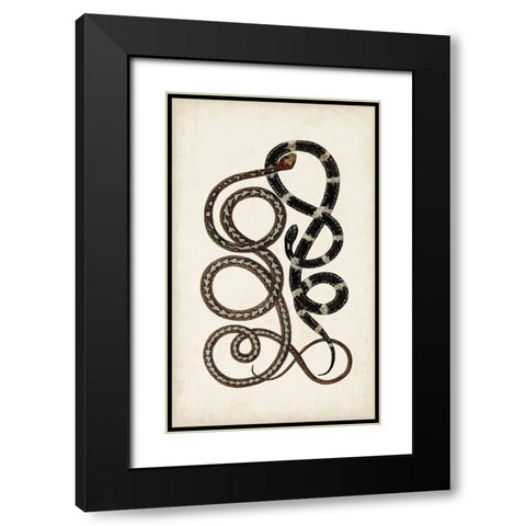 Antique Snakes II Black Modern Wood Framed Art Print with Double Matting by Vision Studio