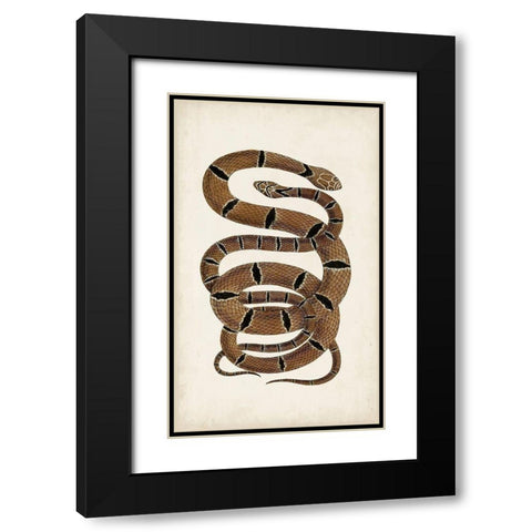 Antique Snakes III Black Modern Wood Framed Art Print with Double Matting by Vision Studio