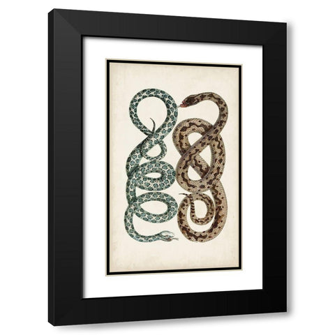 Antique Snakes IV Black Modern Wood Framed Art Print with Double Matting by Vision Studio