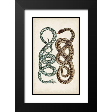 Antique Snakes IV Black Modern Wood Framed Art Print with Double Matting by Vision Studio