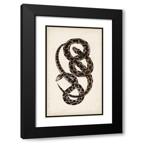 Antique Snakes V Black Modern Wood Framed Art Print with Double Matting by Vision Studio