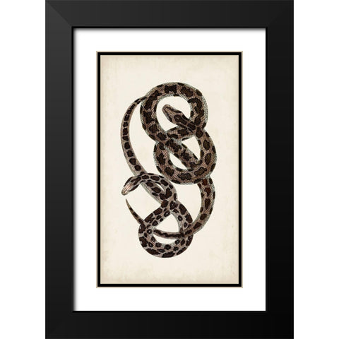 Antique Snakes V Black Modern Wood Framed Art Print with Double Matting by Vision Studio