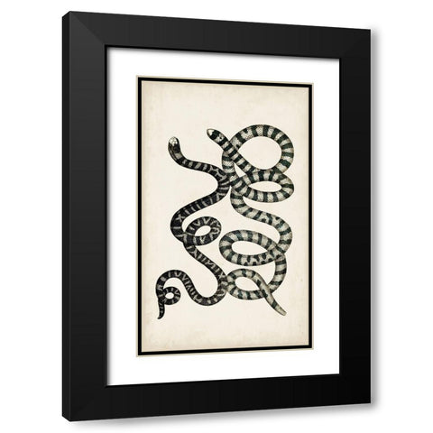 Antique Snakes VI Black Modern Wood Framed Art Print with Double Matting by Vision Studio