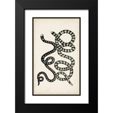 Antique Snakes VI Black Modern Wood Framed Art Print with Double Matting by Vision Studio