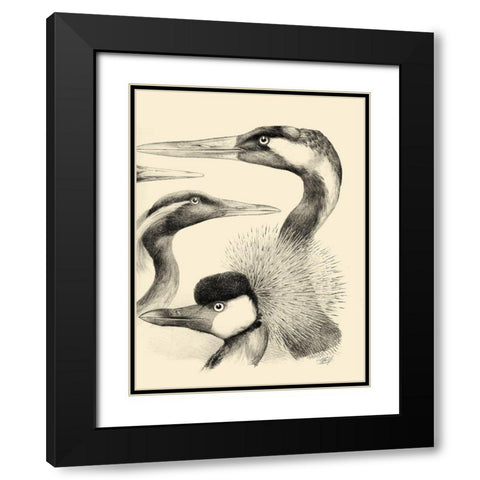 Waterbird Sketchbook I Black Modern Wood Framed Art Print with Double Matting by Vision Studio