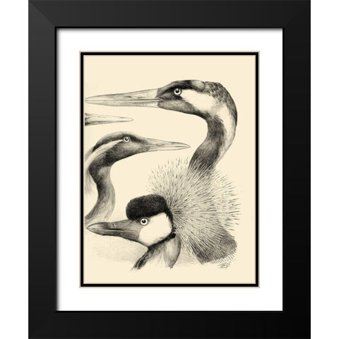 Waterbird Sketchbook I Black Modern Wood Framed Art Print with Double Matting by Vision Studio