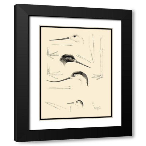 Waterbird Sketchbook V Black Modern Wood Framed Art Print with Double Matting by Vision Studio